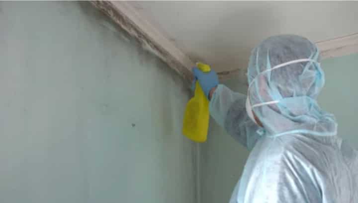 Mold-Removal-Humble Harris County All-Star Mold Removal